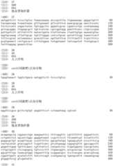 Figure IDA0002536600790000241