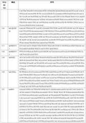 Figure PCTCN2022110545-appb-000087