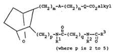 Figure imgb0043