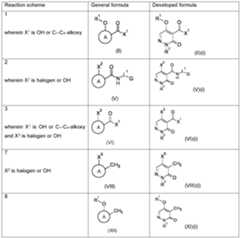 Figure imgf000051_0001