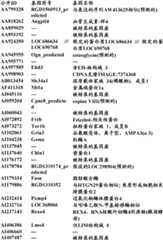 Figure BDA0000057170160001862