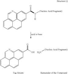 Figure US06623928-20030923-C00002