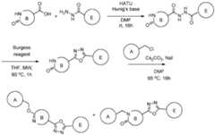 Figure imgf000103_0001