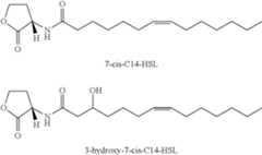 Figure US08734823-20140527-C00002