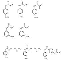 Figure JPOXMLDOC01-appb-C000016