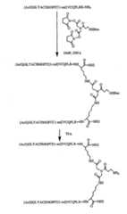 Figure 112005065158015-pct00074