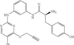 Figure US07504410-20090317-C00110