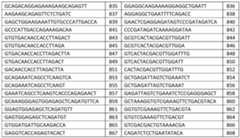Figure imgf000049_0001