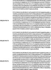 Figure BPA00001431277700571