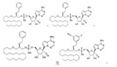 Figure 110138082-A0305-02-0314-29