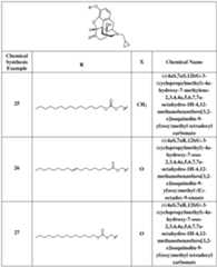 Figure imgf000025_0001
