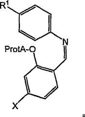 Figure S2006800243473C00033