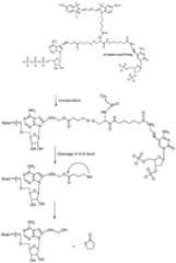 Figure imgf000821_0001