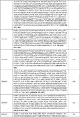 Figure imgf000108_0001