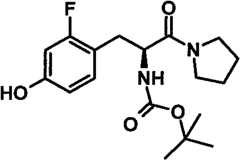 Figure BPA00001431230500301