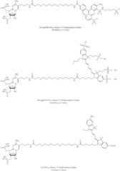 Figure US09206216-20151208-C00101