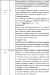 Figure BDA0004177795530000371