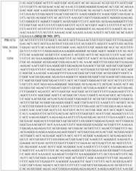 Figure imgf000179_0001