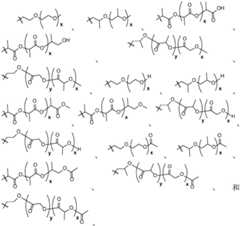 Figure BDA0002268634580001892