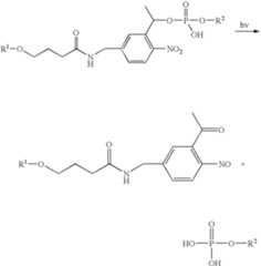 Figure US08206901-20120626-C00028