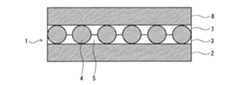Figure 0005224932