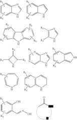 Figure US08361553-20130129-C00003