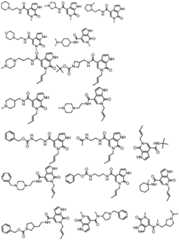 Figure GDA0001463766960000391