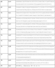 Figure imgf000065_0001