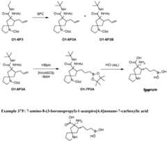 Figure imgf000223_0002