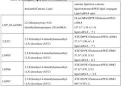 Figure imgf000076_0001