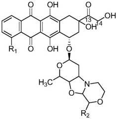 Figure GDA0002332994560000661