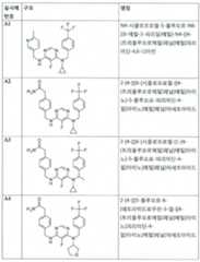 Figure 112017021375572-pct00107