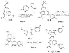 Figure imgf000333_0001
