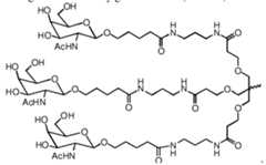 Figure imgf000005_0001