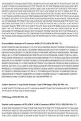 Figure imgf000064_0001