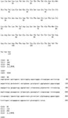 Figure RE-ISB0000195685460000491