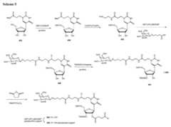 Figure imgf000173_0001