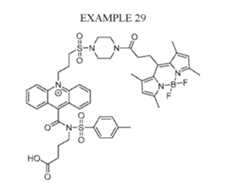 Figure imgf000082_0001