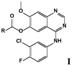 Figure FDA0002110929790000011