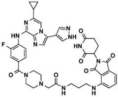 Figure BDA0002964098100001291