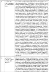 Figure imgf000121_0001