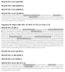 Figure imgf000031_0001