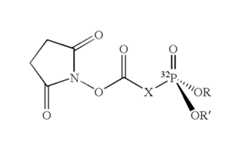 Figure US06706892-20040316-C00105