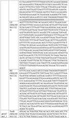 Figure BDA0004033970230006811