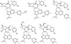 Figure imgf000114_0002