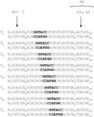 Figure US07537897-20090526-C00003