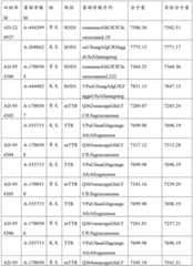 Figure BDA0003746740800002491