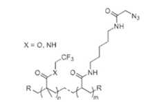 Figure 2022141628000033