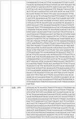 Figure BDA0002317806370000701