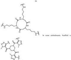 Figure imgf000039_0003